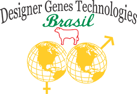 DGT Brasil (SP)