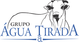 Grupo Água Tirada (MS)
