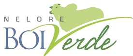 Nelore Boi Verde (SP)
