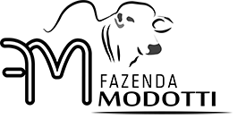 Fazenda Modotti (RO)