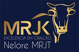 Nelore MRJK (PR)
