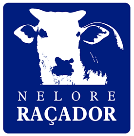 Nelore Raçador (MT)