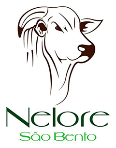 Nelore São Bento (MT)
