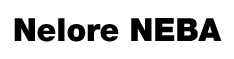 Nelore NEBA (BA)