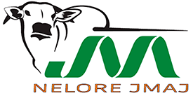 Agropecuária JMAJ (BA)